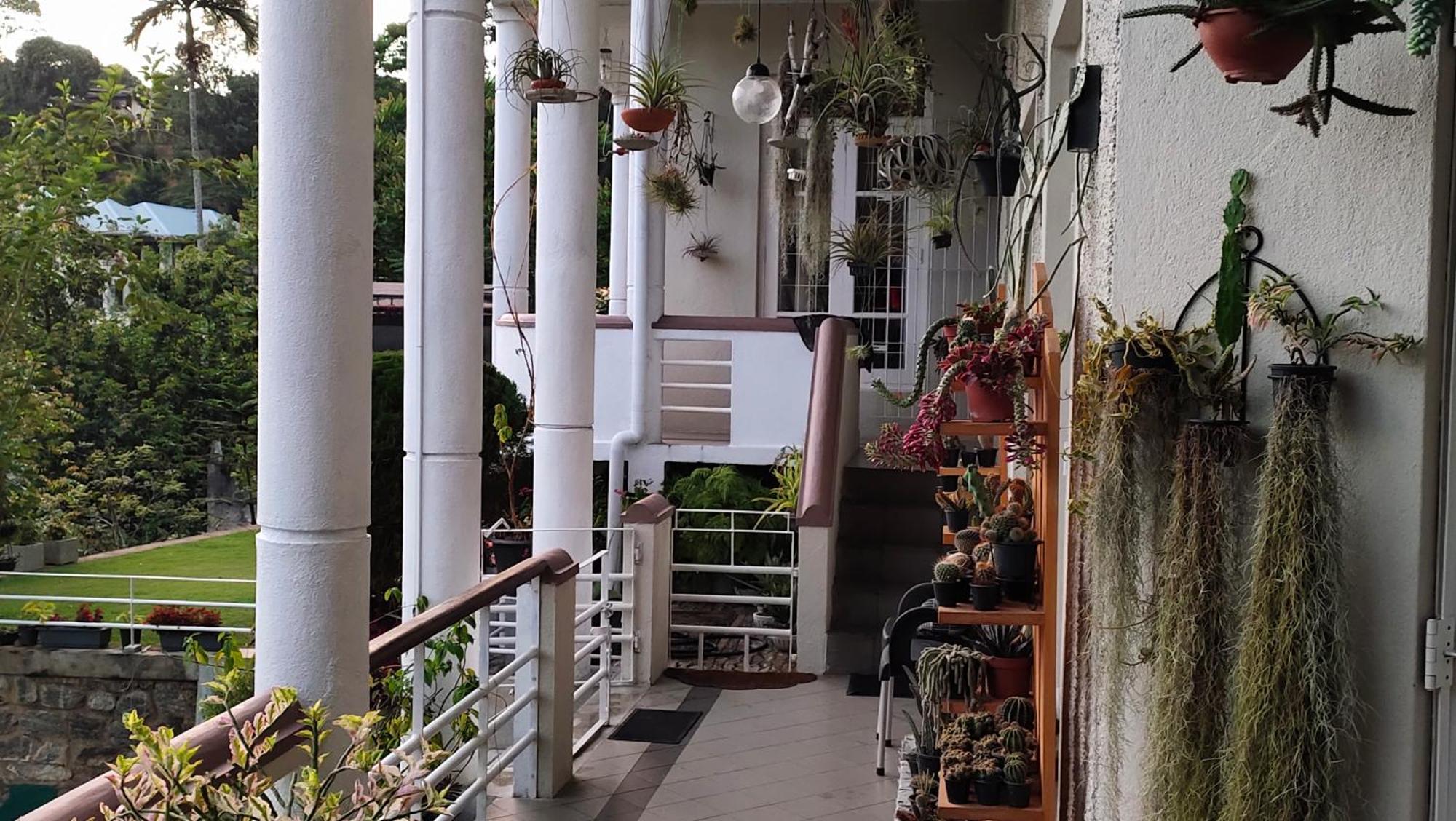 Marvel Hills Kandy Ngoại thất bức ảnh