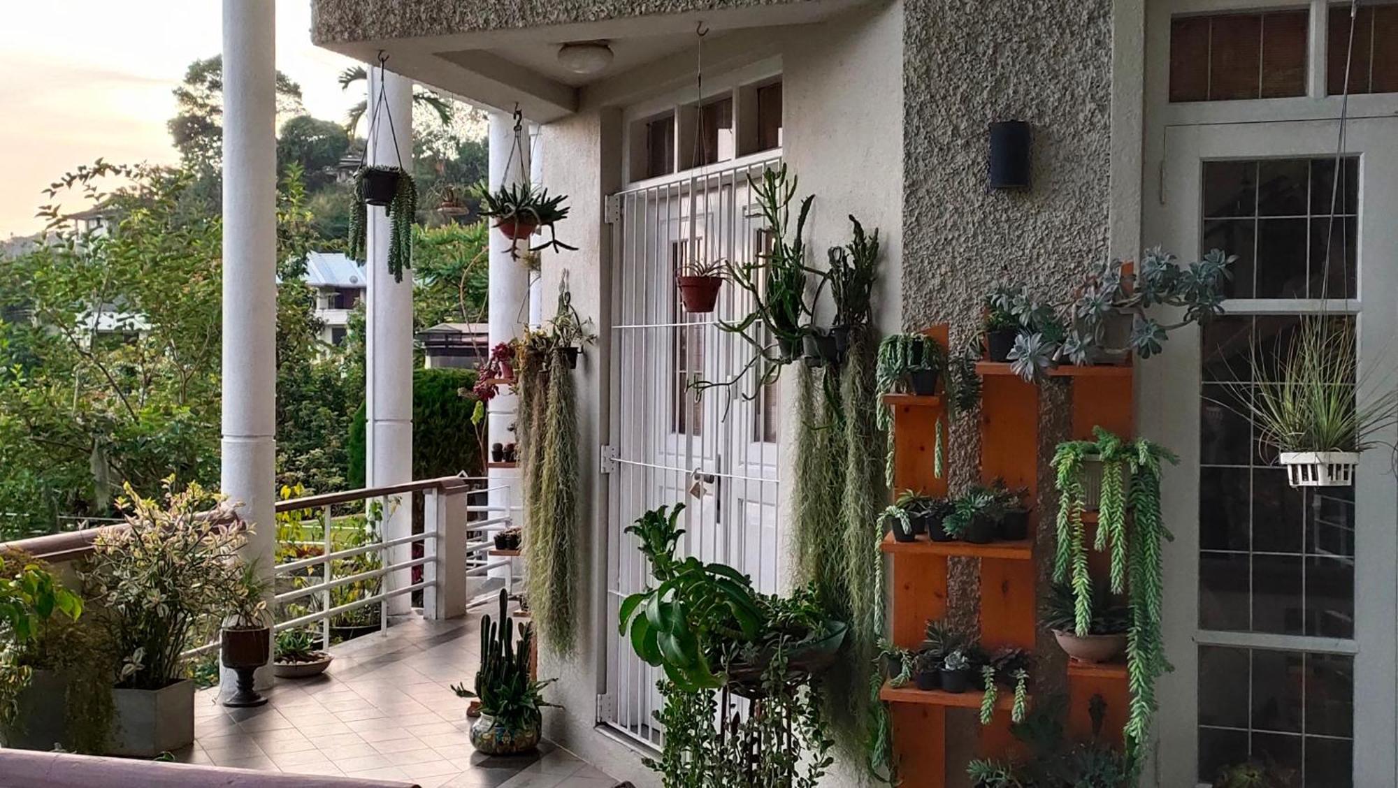 Marvel Hills Kandy Ngoại thất bức ảnh
