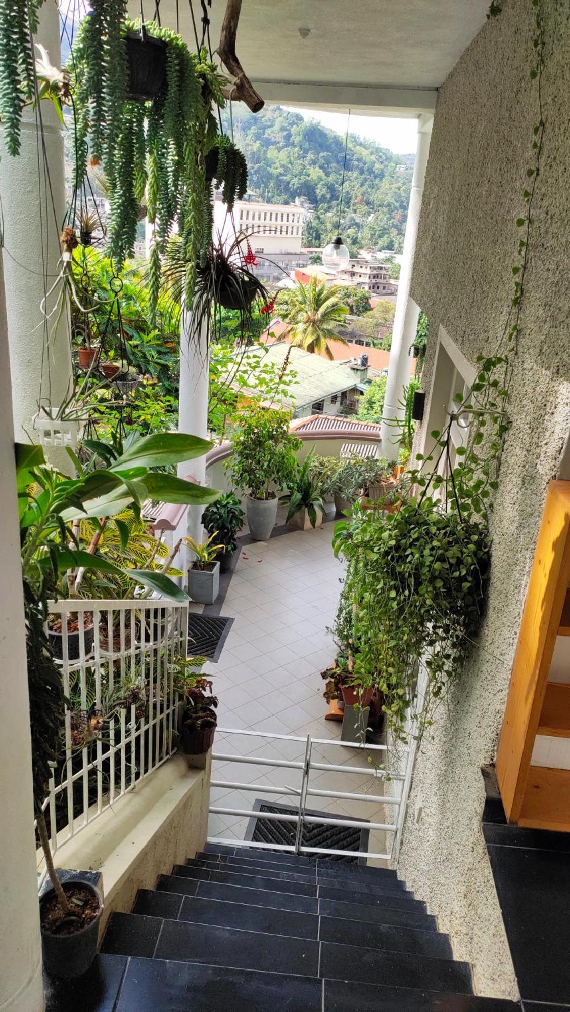 Marvel Hills Kandy Ngoại thất bức ảnh