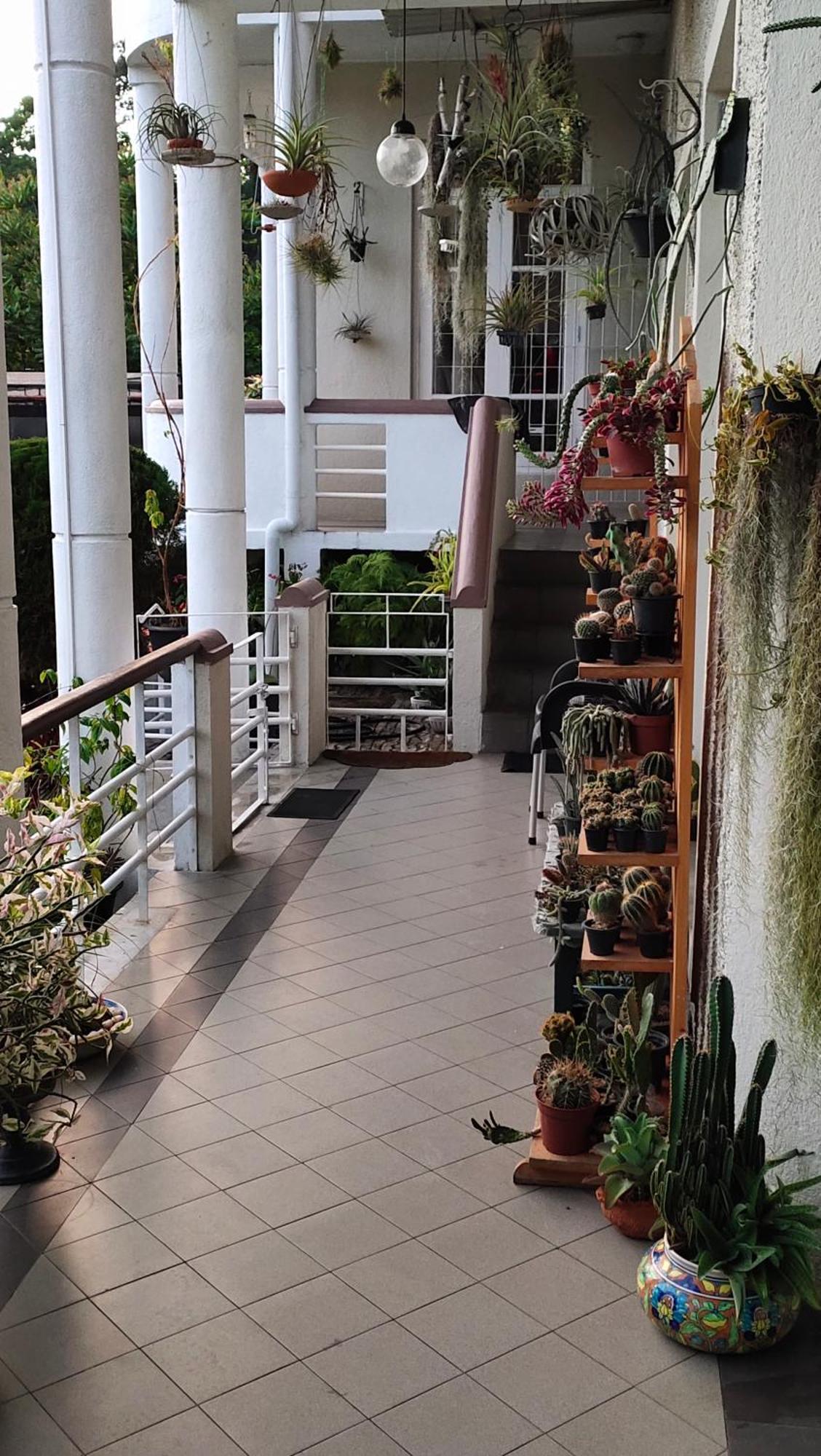 Marvel Hills Kandy Ngoại thất bức ảnh
