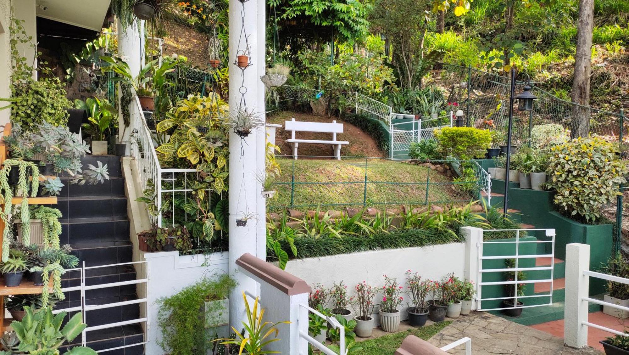Marvel Hills Kandy Ngoại thất bức ảnh